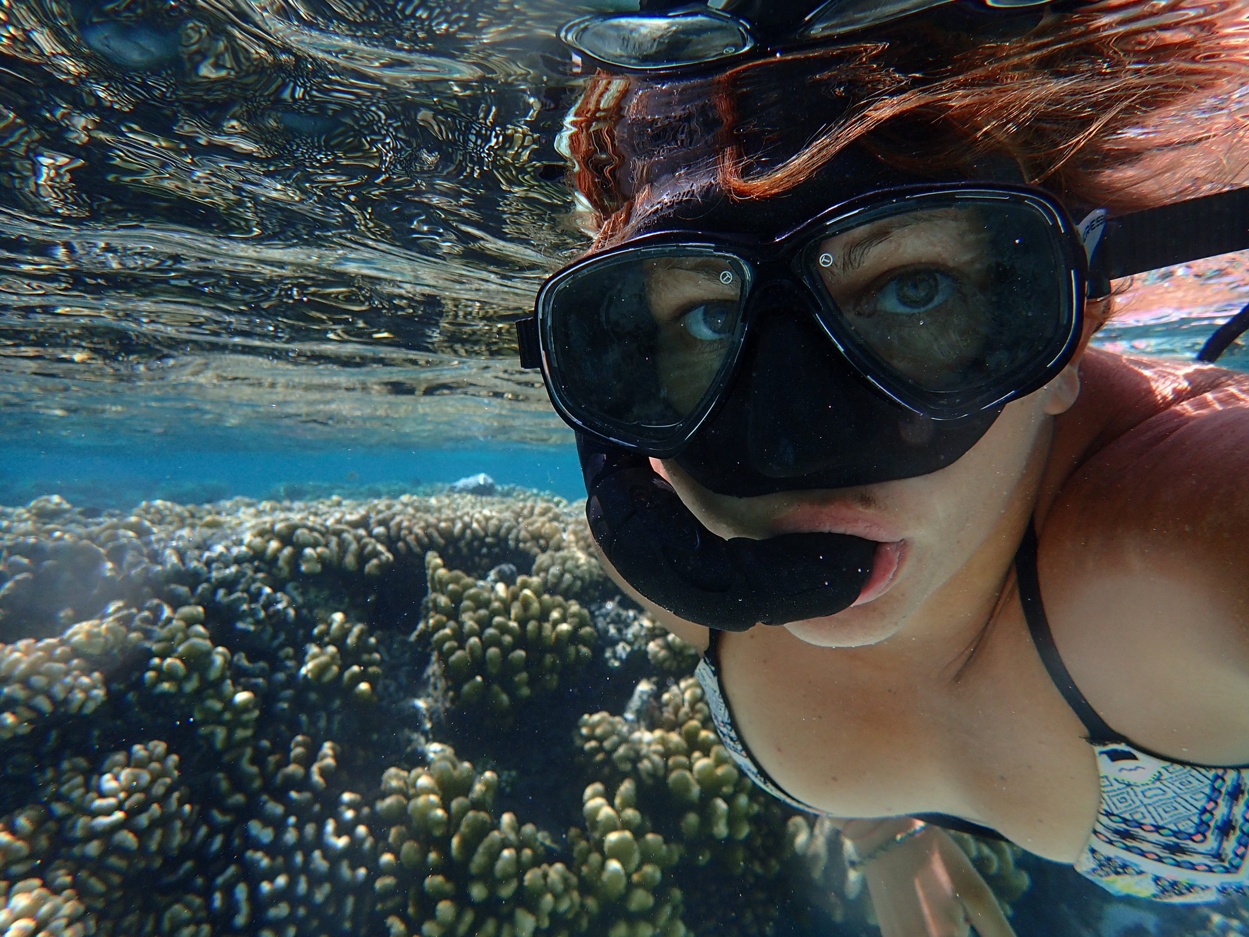 Snorkeling above a coral reef