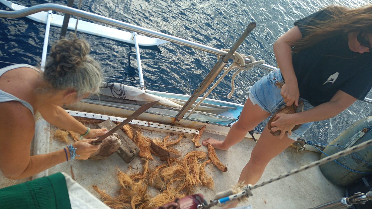 Preparing fresh fish together